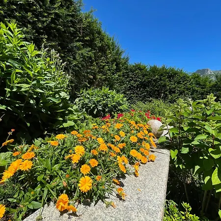 霍施特劳恩湖萨尔茨卡默古特酒店