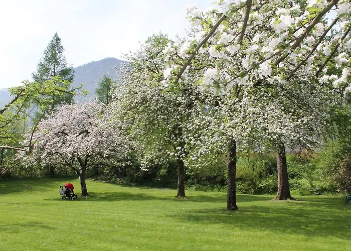 Hochsteg Guetl | Traunsee Salzkammergut ホテル 4*