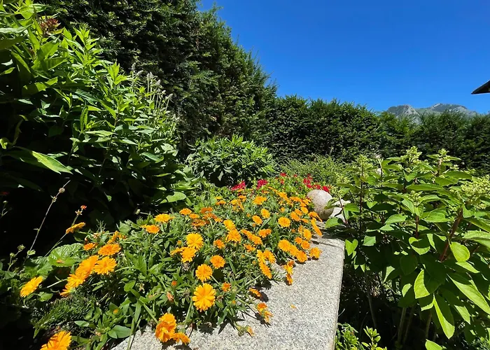 霍施特劳恩湖萨尔茨卡默古特酒店