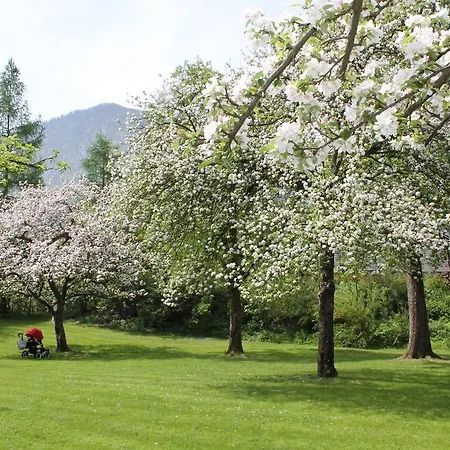 Hochsteg Guetl | Traunsee Salzkammergut Otel 4*
